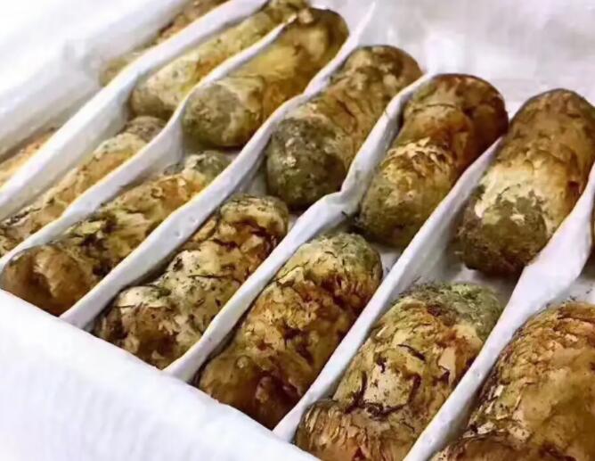 QQ截圖20220813110107.jpg QQ截圖20220813110107.jpg